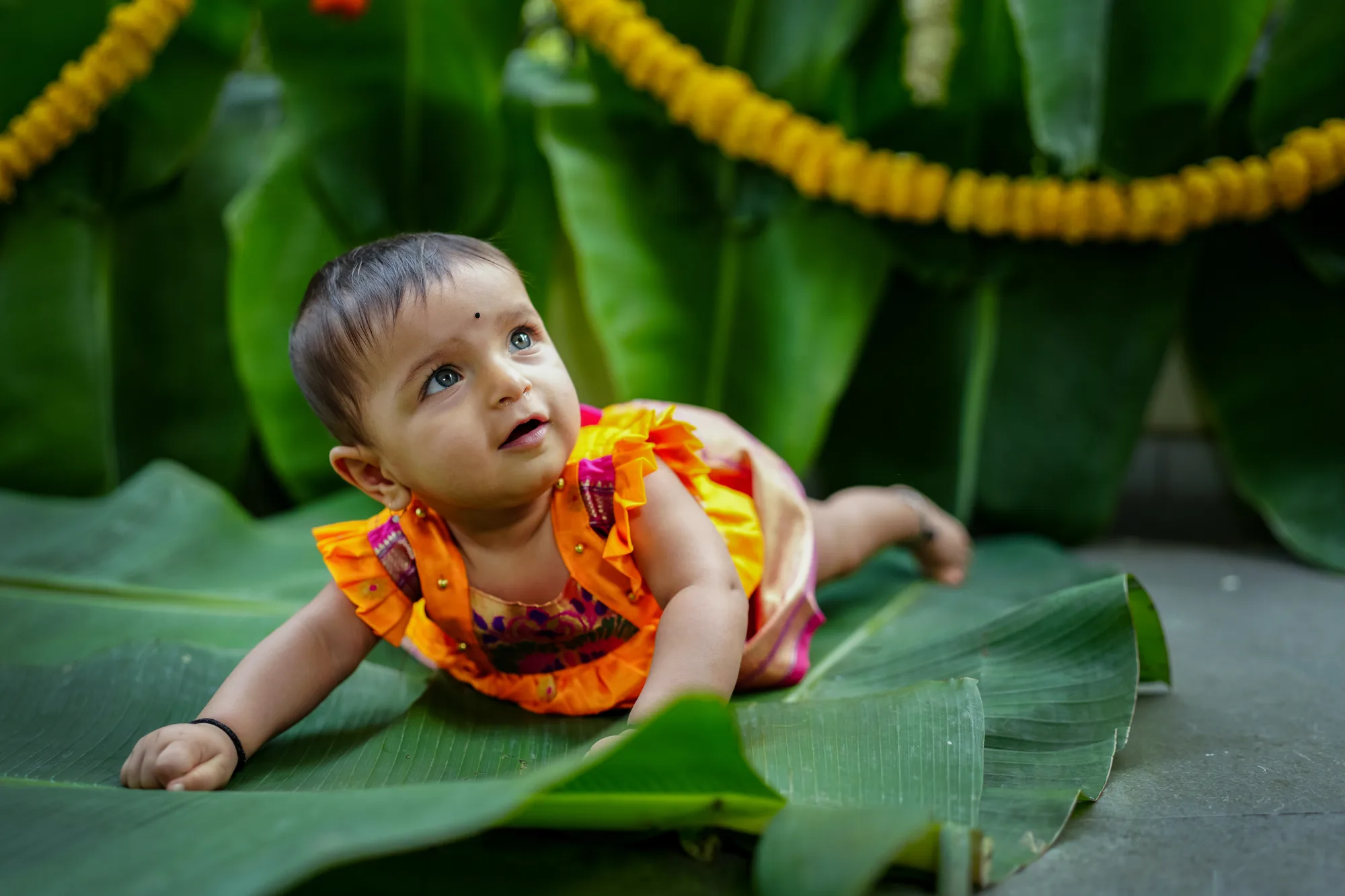 Naming Ceremony 7